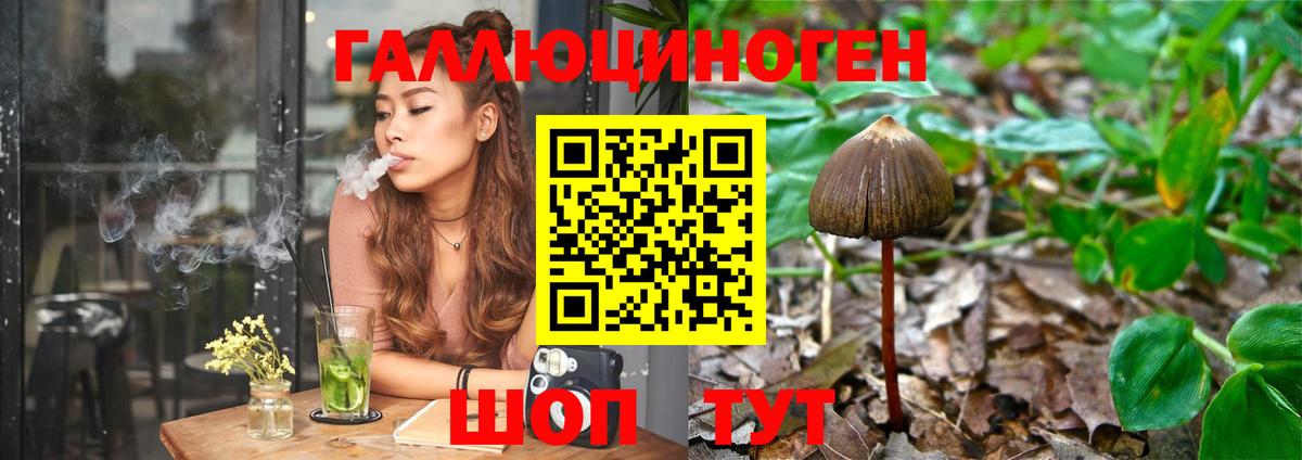 Галлюциногенные грибы Cubensis  Галлюциногенные грибы GOLDEN TEACHER  Холмск  Вход с VPN 