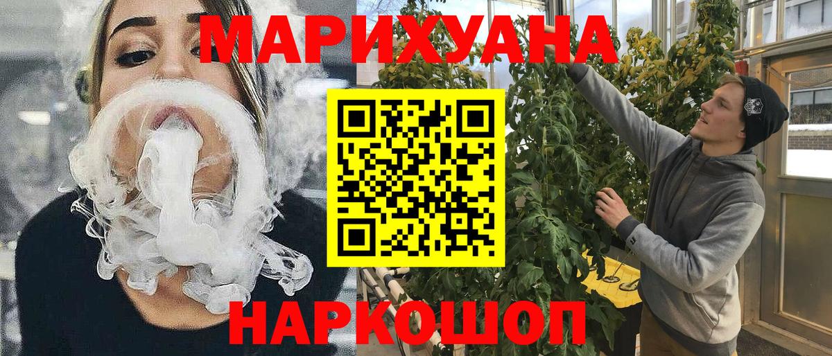 Бошки Шишки план Холмск